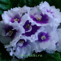 ПТ - Лариса_cr_tn