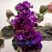 ПТ - Уральские Сказы_tn