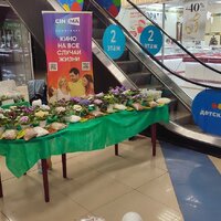 IMG_20251206_084036