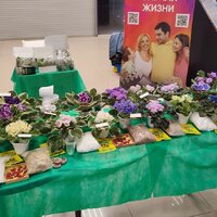IMG_20251206_084104