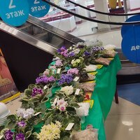IMG_20251206_084125