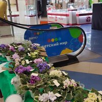 IMG_20251206_084134