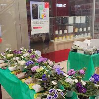 IMG_20251206_084201
