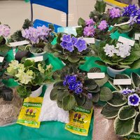 IMG_20251206_090840