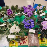 IMG_20251206_090845