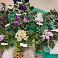 IMG_20251206_090851