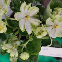 IMG_20251206_092338