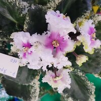 IMG_20251206_092344